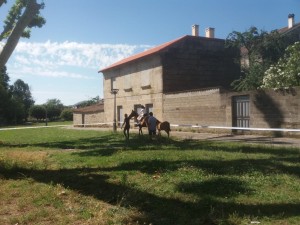 IMG-20180710-WA0002