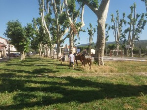 IMG-20180710-WA0003