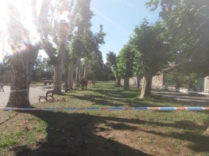 IMG-20180710-WA0009
