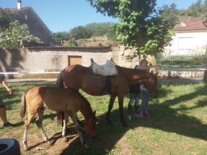IMG-20180710-WA0011