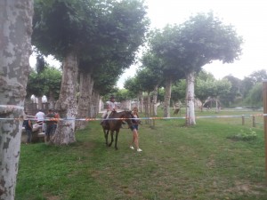 IMG-20180716-WA0035