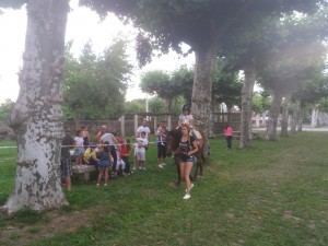 IMG-20180716-WA0038