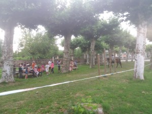 IMG-20180716-WA0041