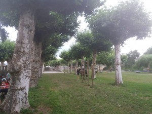 IMG-20180716-WA0043
