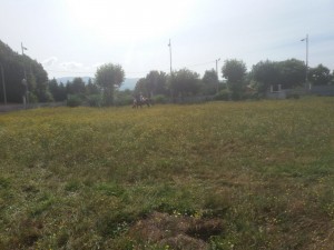IMG-20180723-WA0004 - copia - copia
