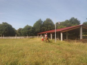 IMG-20180723-WA0011