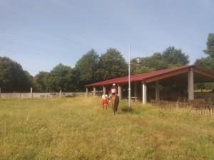 IMG-20180723-WA0012