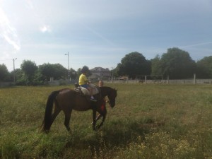 IMG-20180723-WA0016